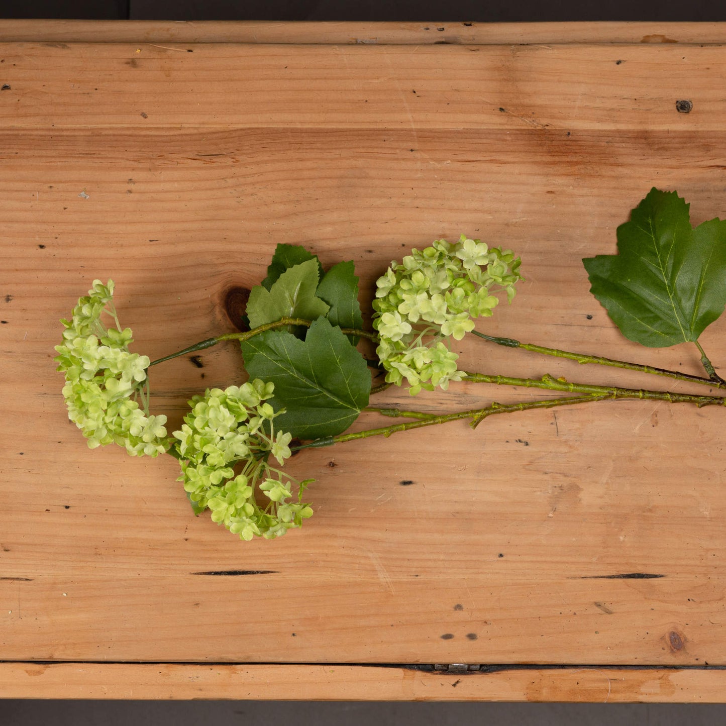 Viburnum spray